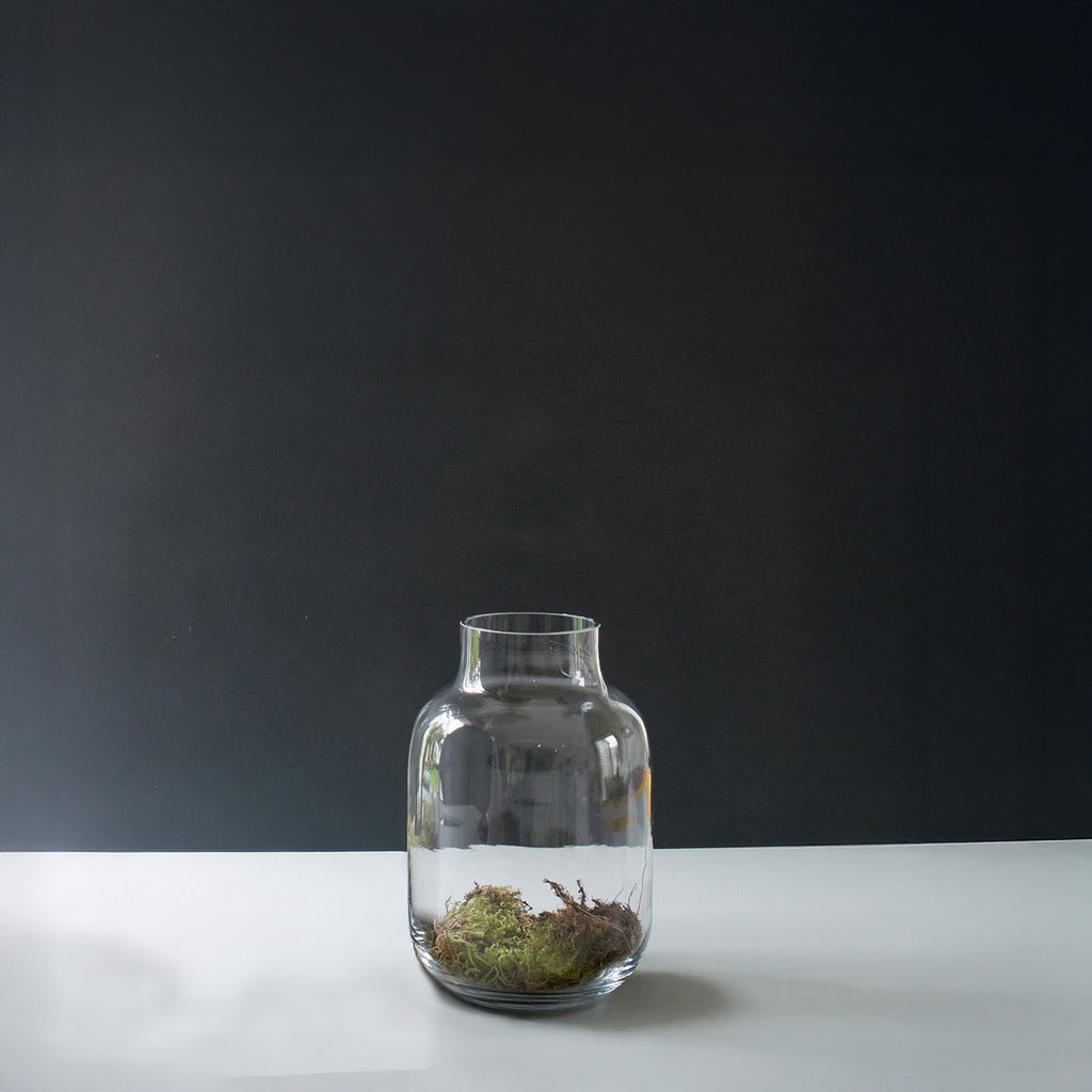 Glass Vase Large Medium 25cm