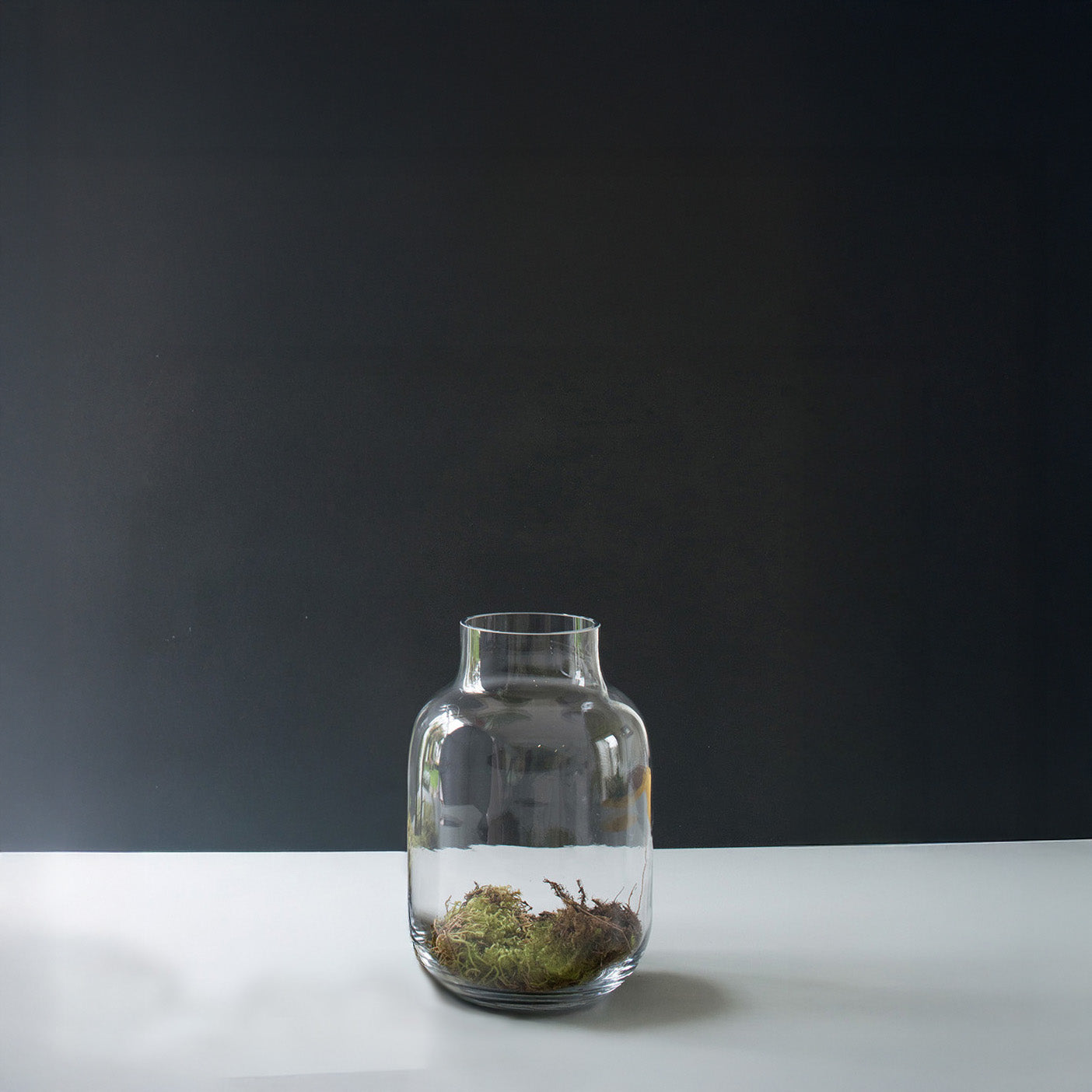 Glass Vase Large Medium 25cm