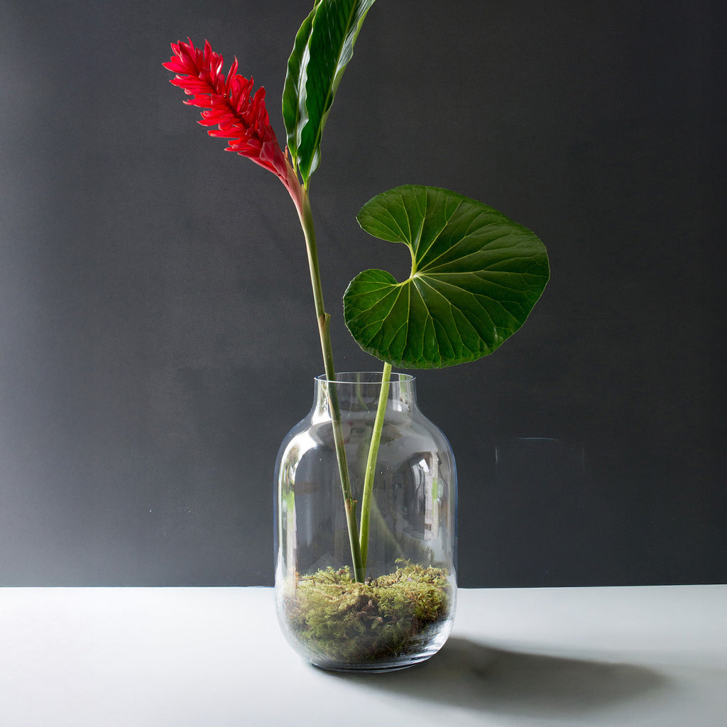 Glass Vase Large 32cm